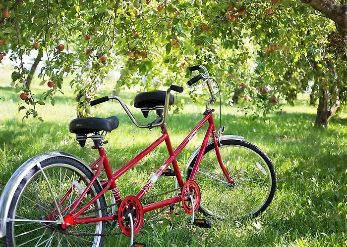 Landaroma 게스트하우스 3*