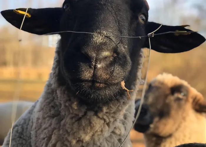 Landaroma 3* Bestensee